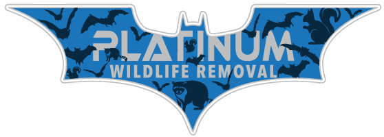 Wildlife Removal Kentland
